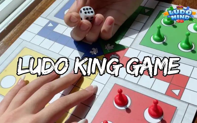 ludo king game